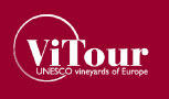 Landscape quality and oenotourism: experiences from the Vitour network