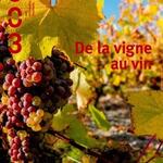 “De la Vigne au Vin” – From Vine to Wine