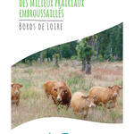 Guide to management of overgrown milieus on the banks of the Loire