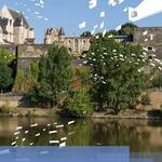 Gardens in the Loire Valley: summer highlights