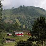 Coffee cultural landscape of Colombia [Our heritage]