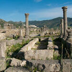 VOLUBILIS action-research project