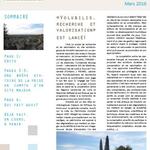Volubilis: Research Journal no.1