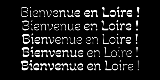 Loire - Visuel 10 - animation