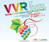 Vignes, Vins, Randos (Vines, Wines and Walks): a cultivating experience!