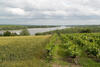 Orientation 2 : Maintenir les paysages ouverts et les vues sur la Loire