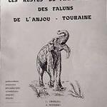 Les restes de mammifères des faluns de l’Anjou-Touraine