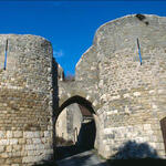 Châteaux forts et fortifications dans le Loiret